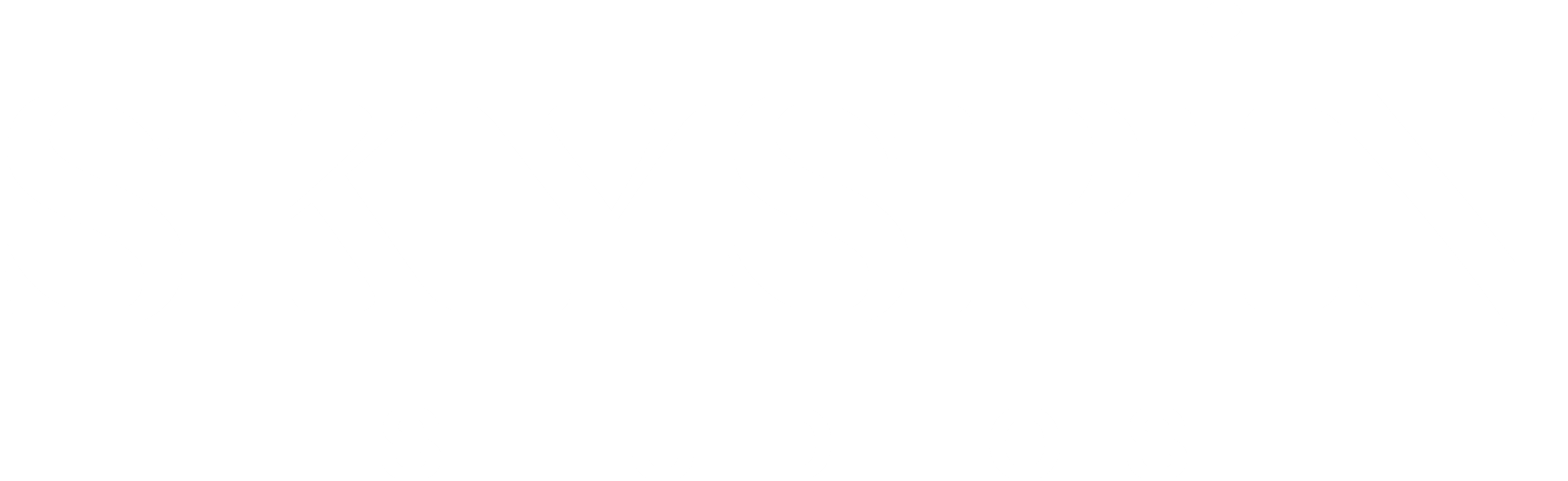 skyspin-logo-white